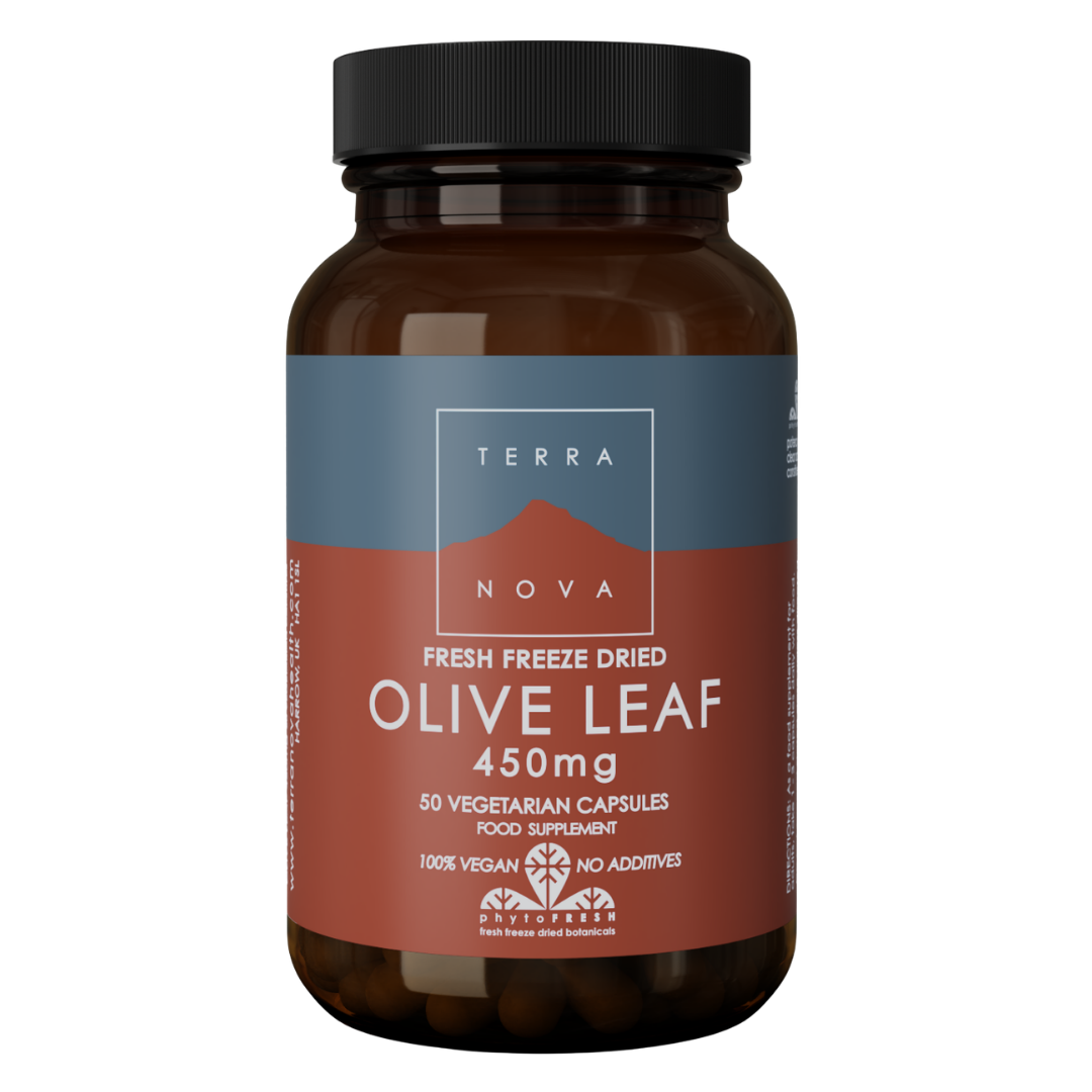 Terranova Olive Leaf 450 mg - Oliivinlehti 50 kaps.