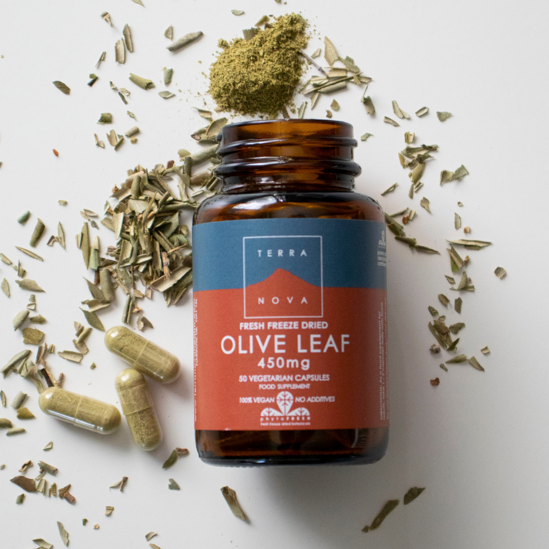 Terranova Olive Leaf 450 mg - Oliivinlehti 50 kaps.